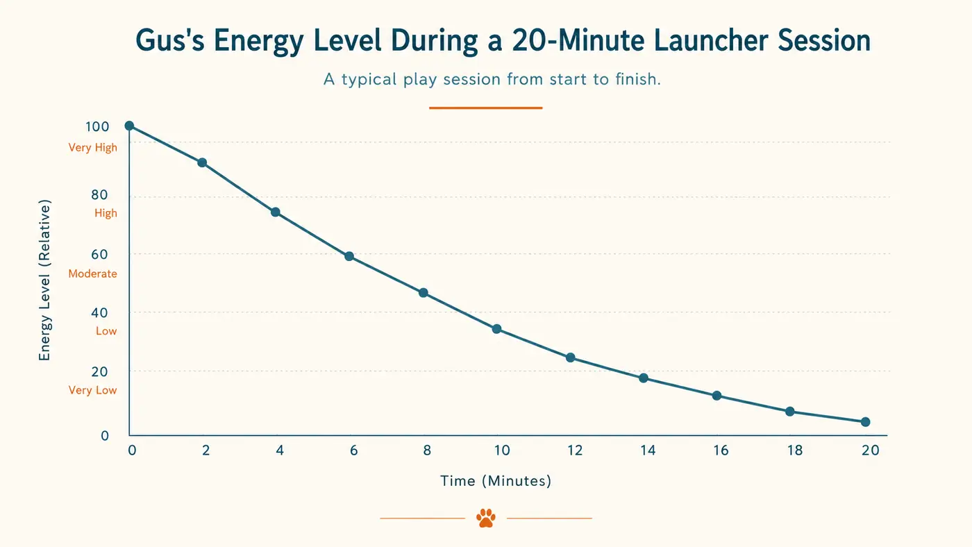 Simple line chart showing a high-energy dog's estimated energy level dropping over a twenty minute automatic launcher session