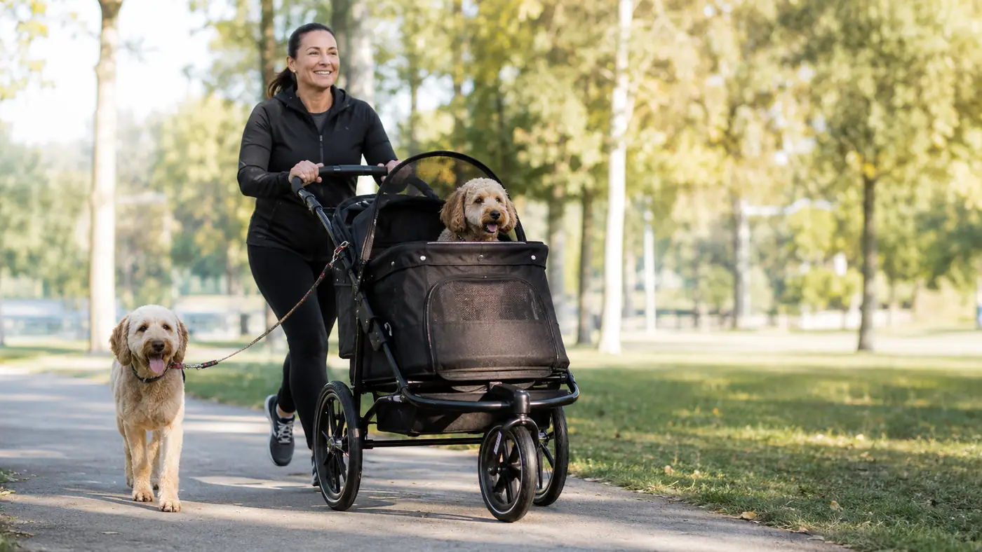 Woman jogging on a paved trail pushing a large pet stroller with big tires while a dog trots alongside on a leash