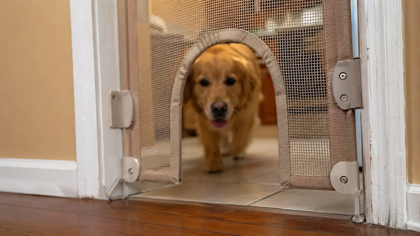 Close-up of a tan walk-through pet gate's small pet door cutout at the base, with faint scuff marks visible on the surrounding wood trim